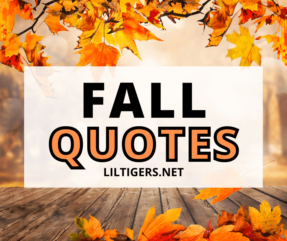 140 Best Fall Quotes and Sayings for Autumn - Lil Tigers