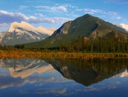 Water Damage Fort Lauderdale Fl Solutions And Insights