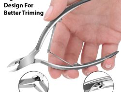 Best Video Conferencing Softwares For Seamless Communication