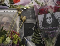 Support Ticket Management System For Seamless Support