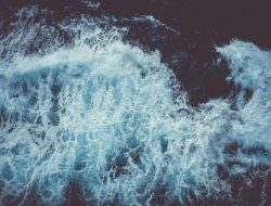 water damage carrollton Restoration and Prevention Guide