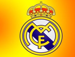 Real Estate Agent Errors And Omissions Insurance Explained